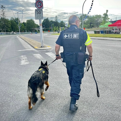 K9 Security Dog being guided by a Centurions Solutions Security Guard