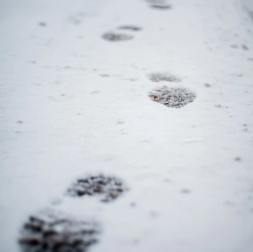 Proof-gathering investigation being depicted as footsteps in fresh snow.